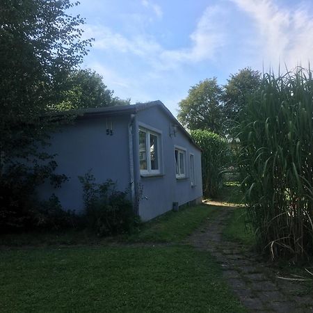 Ferienwohnung Am Strelasund Sundhagen-Niederhof Ngoại thất bức ảnh